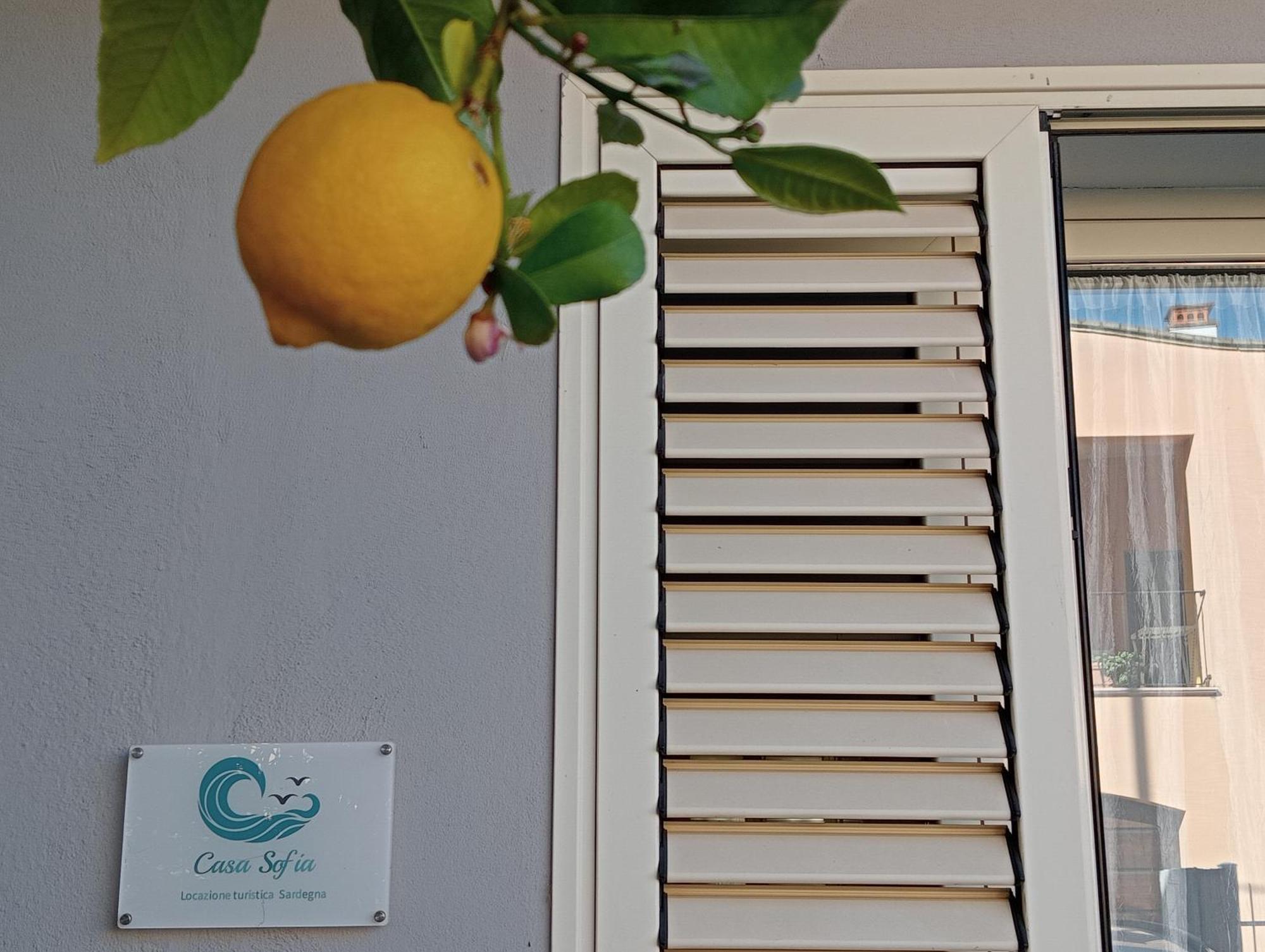 Casa Sofia Apartment Tertenia Exterior photo